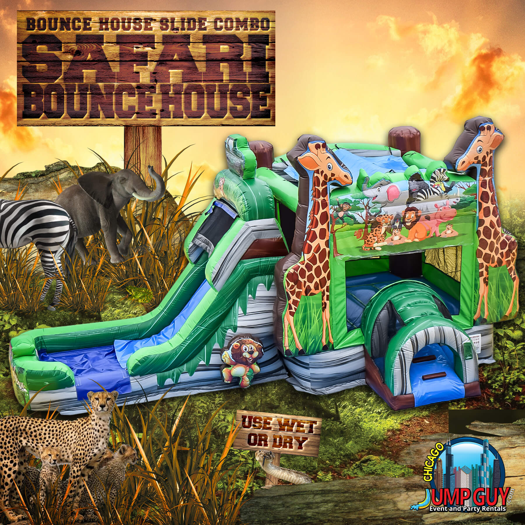 Safari bounce house and slide combo inflatable rental delivered to a Naperville IL event
